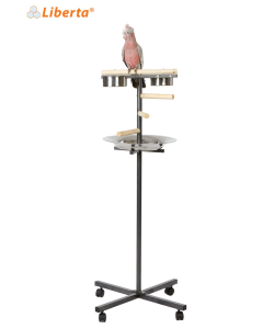 Rainforest Cages Little T - Bar Parrot Play Stand